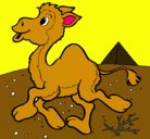 Dibujo Camello pintado por fernandocolias