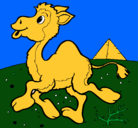 Dibujo Camello pintado por jairo