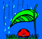 Dibujo Mariquita protegida de la lluvia pintado por killen