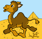 Dibujo Camello pintado por yazmin