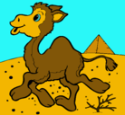 Dibujo Camello pintado por mauelito76