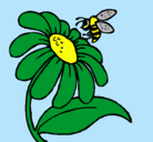 Dibujo Margarita con abeja pintado por polinizacion