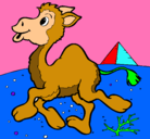 Dibujo Camello pintado por NORGU