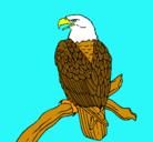 Dibujo Águila en una rama pintado por mini