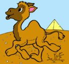 Dibujo Camello pintado por EMMANUEL