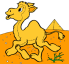 Dibujo Camello pintado por nathalia