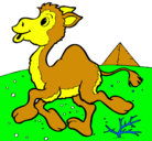 Dibujo Camello pintado por sergio
