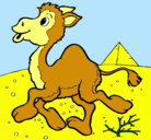 Dibujo Camello pintado por esther