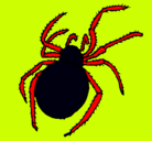 Dibujo Araña venenosa pintado por eugenio