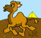 Dibujo Camello pintado por flaviocesarsalascastro