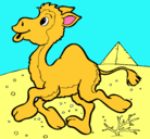 Dibujo Camello pintado por yaretzi