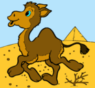 Dibujo Camello pintado por juguinola