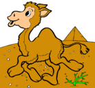 Dibujo Camello pintado por xavi
