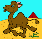 Dibujo Camello pintado por miryam