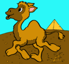 Dibujo Camello pintado por danielarubi