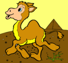 Dibujo Camello pintado por rachel