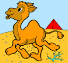 Dibujo Camello pintado por valeriadelcarmen