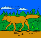 Dibujo Coyote pintado por iVAN