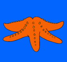 Dibujo Estrella de mar pintado por ana