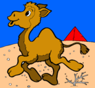 Dibujo Camello pintado por orlando