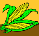 Dibujo Mazorca de maíz pintado por martina