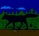 Dibujo Coyote pintado por diego