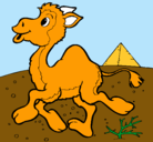 Dibujo Camello pintado por beto