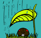 Dibujo Mariquita protegida de la lluvia pintado por MARGARITA