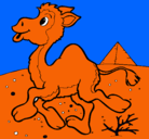 Dibujo Camello pintado por rodrigo