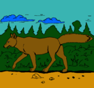Dibujo Coyote pintado por malena