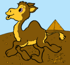 Dibujo Camello pintado por joel