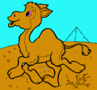 Dibujo Camello pintado por fabi