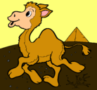 Dibujo Camello pintado por yunet