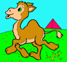 Dibujo Camello pintado por jenniaum