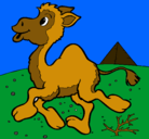 Dibujo Camello pintado por lujan