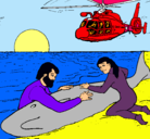 Dibujo Rescate ballena pintado por alfa12312