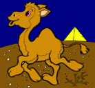 Dibujo Camello pintado por yulger