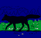 Dibujo Coyote pintado por vALEN