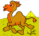 Dibujo Camello pintado por nahuel