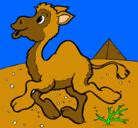 Dibujo Camello pintado por elviralujanojimenez