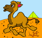 Dibujo Camello pintado por nalloni