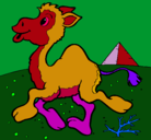 Dibujo Camello pintado por benjaminfreiresselman