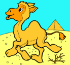 Dibujo Camello pintado por anthonygascon