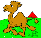 Dibujo Camello pintado por luismigel