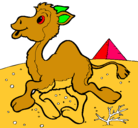 Dibujo Camello pintado por citlali