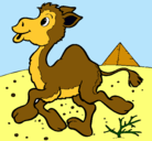 Dibujo Camello pintado por senya