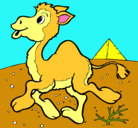 Dibujo Camello pintado por vallyyy