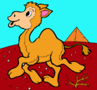 Dibujo Camello pintado por teresa