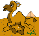 Dibujo Camello pintado por mireya20