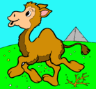 Dibujo Camello pintado por jazmin